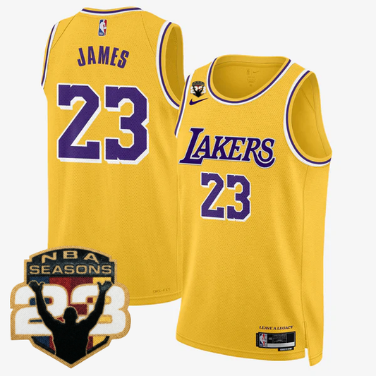 LAL LeBron Jame 23 Seasons Patch Special Jersey - All Stitched
