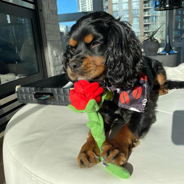 Plush Snuffle Rose Dog Toy | Interactive Treat Hiding